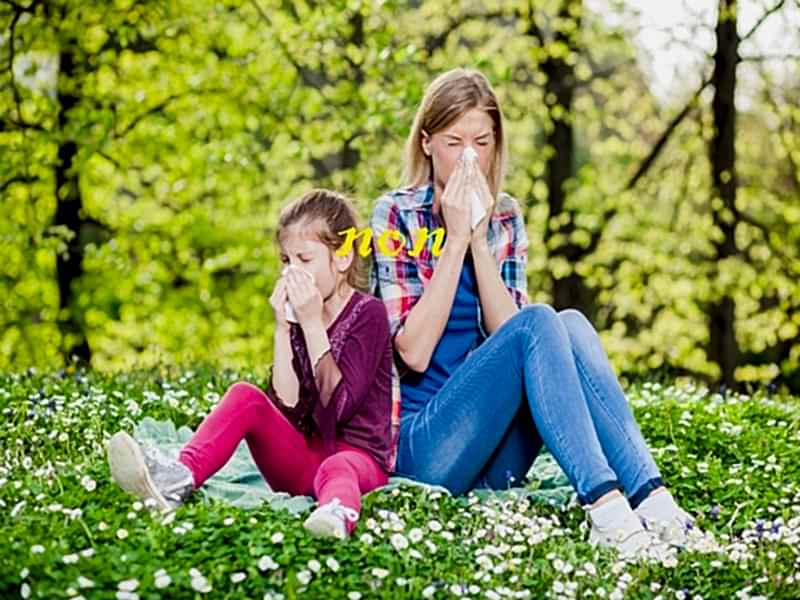 Alerjik Hiçbir Şey Barındırmaz