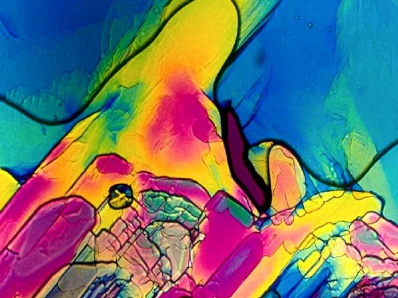 Renk Çeşitliği Tercihi 